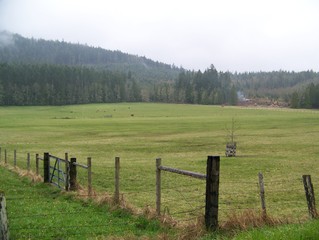 Main Photo